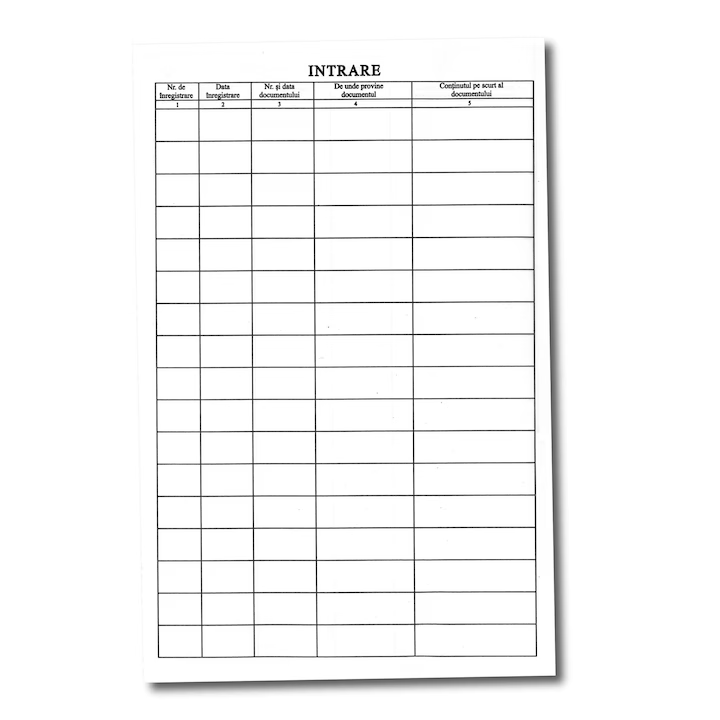 Registru, Paperland, A4 intrare iesire corespondenta, portret, coperta carton tiparit, cotor legat piele, 100 pagini