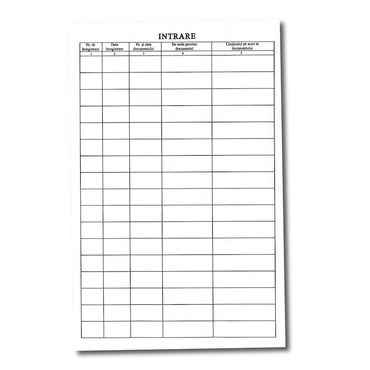 Registru, Paperland, A4 intrare iesire corespondenta, portret, coperta carton tiparit, cotor legat piele, 100 pagini