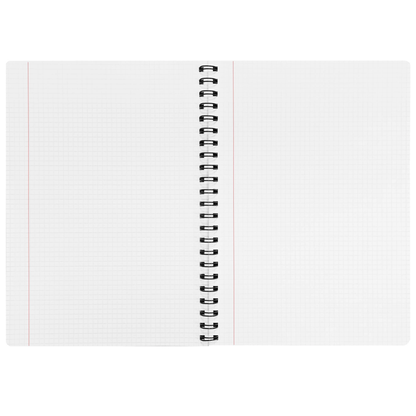 Caiet studentesc, PAPERLAND, cu spirala, A4, 96 file, matematica, 70g/mp, coperta kraft Go Green