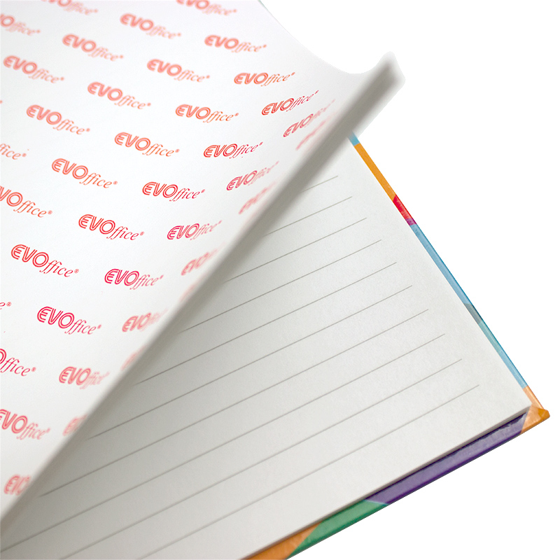 Registru tip caiet, A4 coperti cartonate color 100 file - dictando