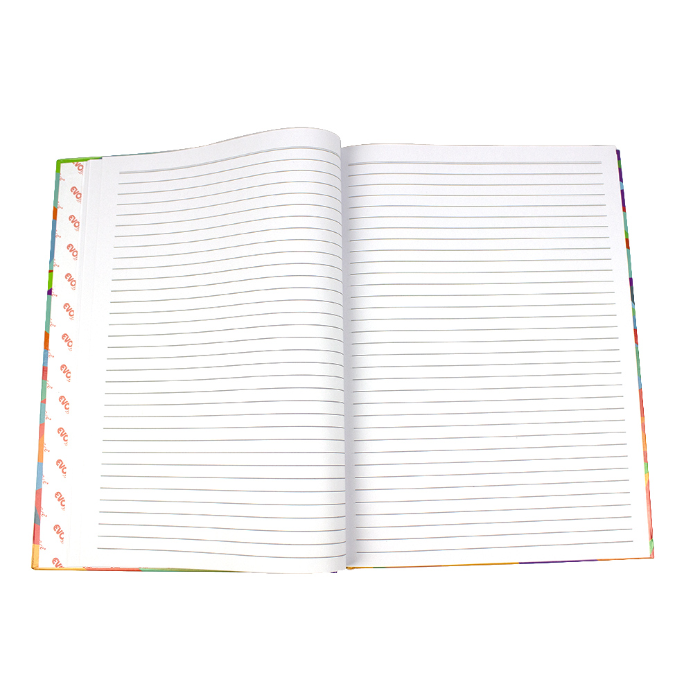 Registru tip caiet, A4 coperti cartonate color 100 file - dictando